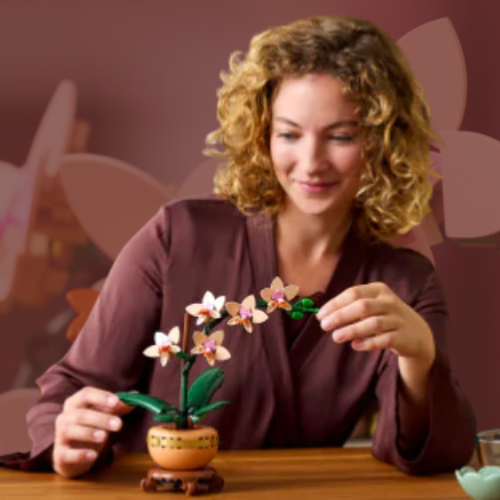 LEGO® Botanicals duran más y son el regalo perfecto para San Valentín