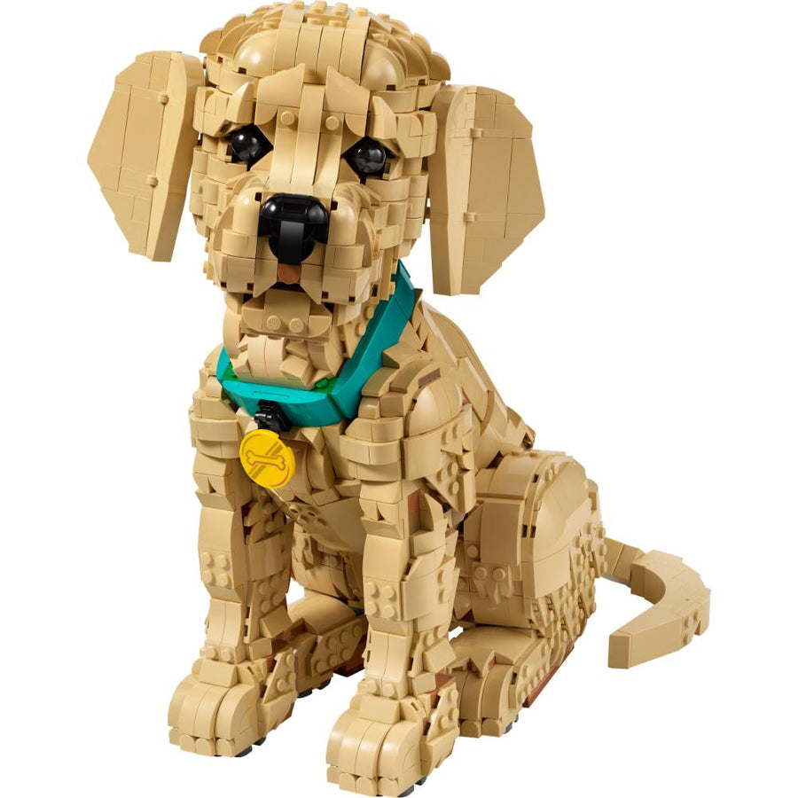 CACHORRO DE GOLDEN RETRIEVER