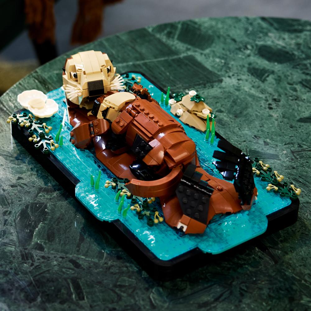 LEGO®Lego Ideas: Nutrias Marinas A Flote (21366)_008