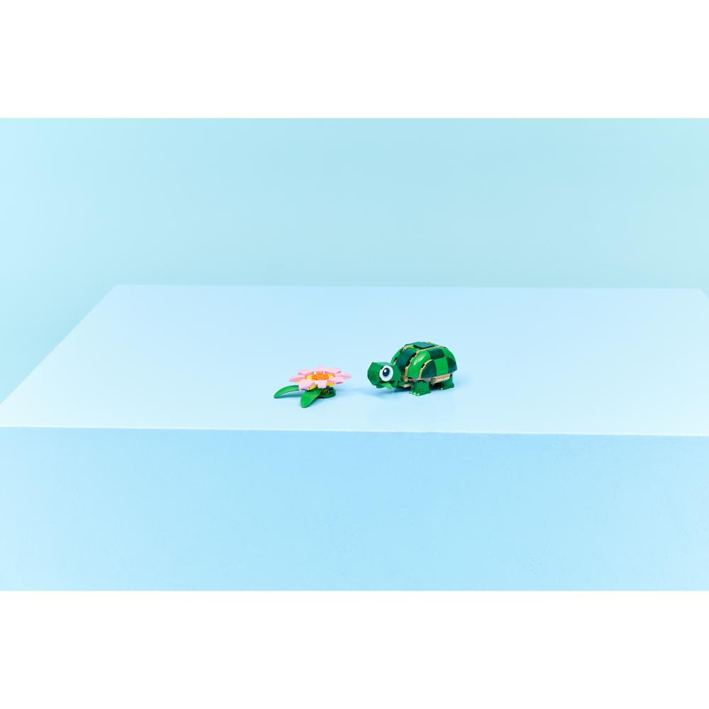 TORTUGA CON FLOR DE NENÚFAR