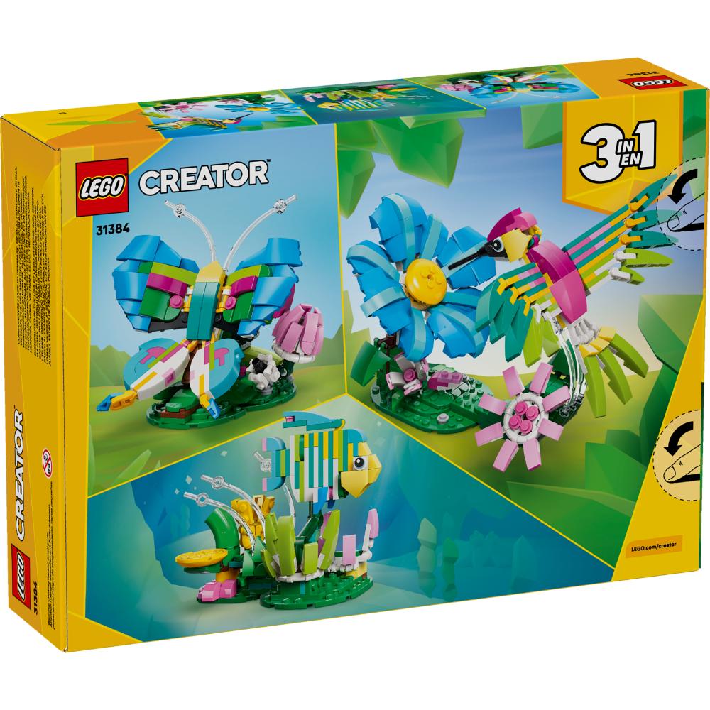 FAUNA SALVAJE: COLIBRÍ DE COLORES