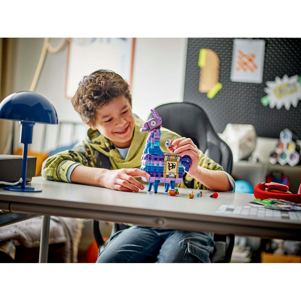 LLAMA DE SUMINISTROS