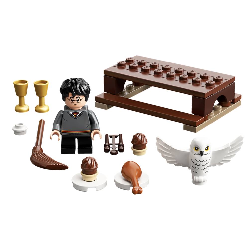 LEGO Harry Potter And Hedwig Owl Delivery (30420)