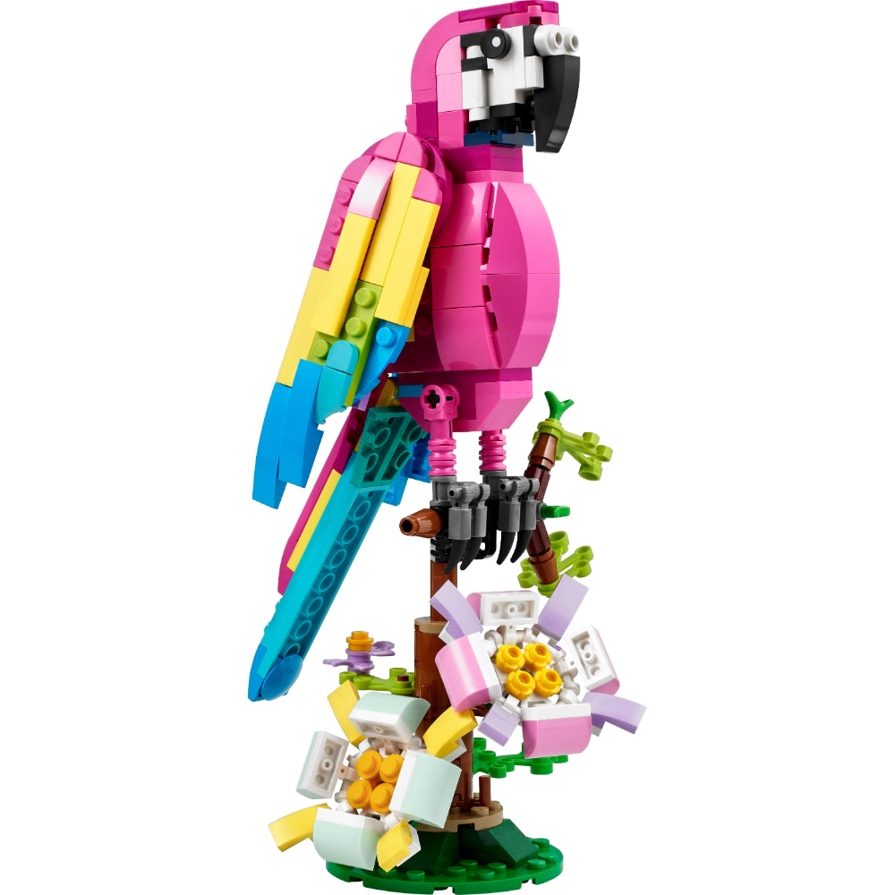 Loro Rosa Exótico (31144)