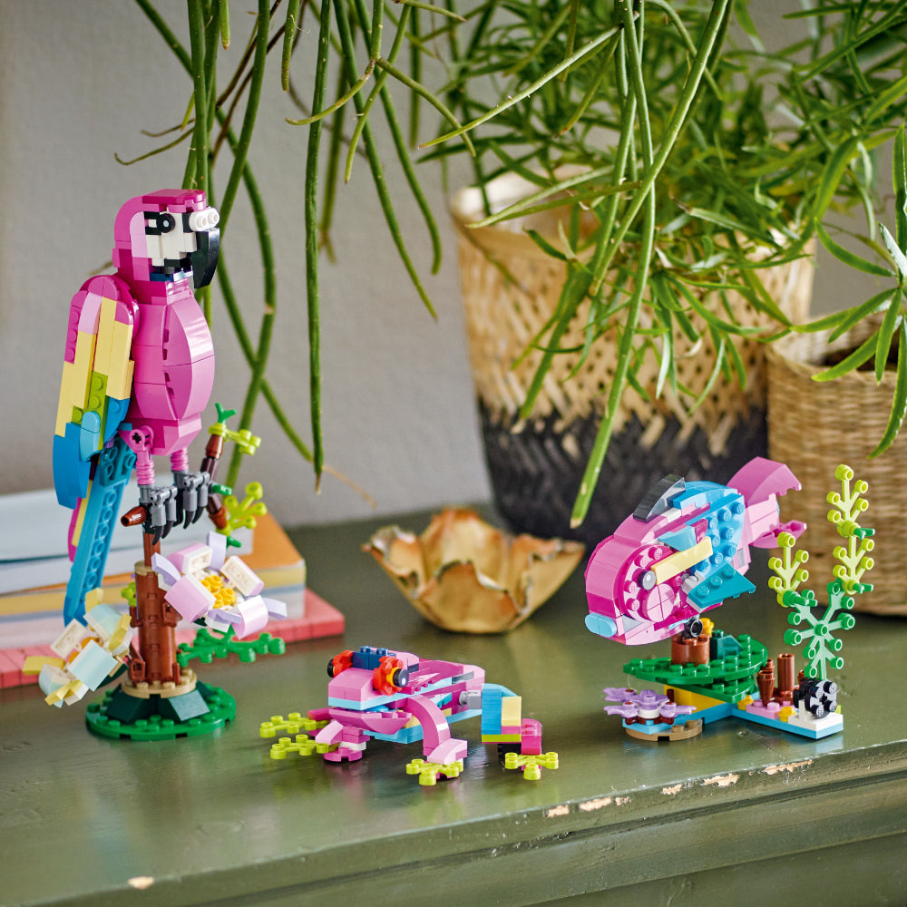 Loro Rosa Exótico (31144)