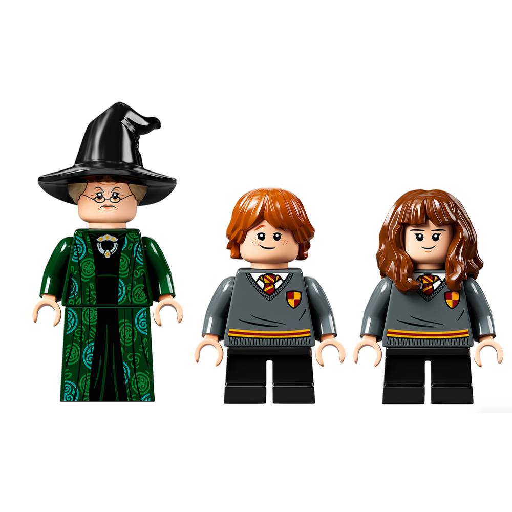 LEGO® Harry Potter™ Momento Hogwarts™ Clase de Transfiguración (76382)