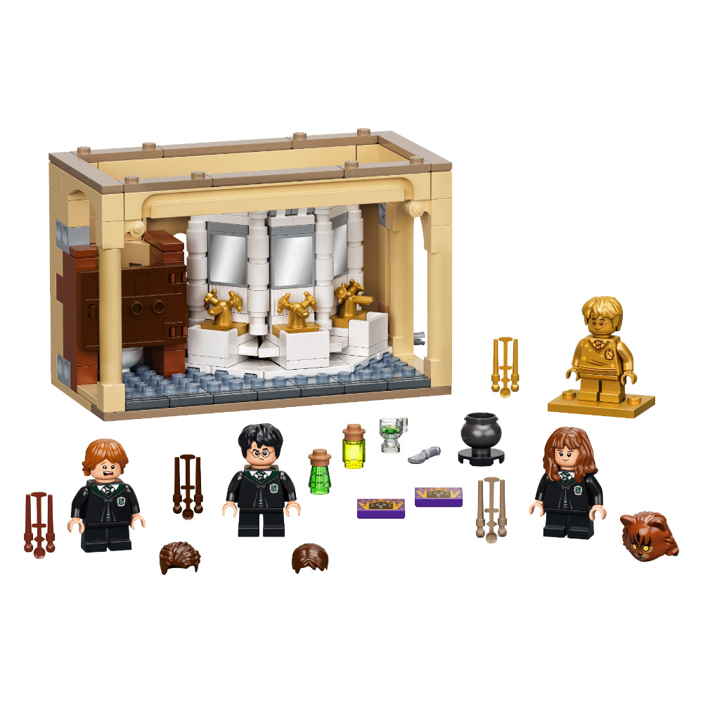 LEGO® Harry Potter™: Hogwarts™: Fallo de la Poción Multijugos(76386)_002