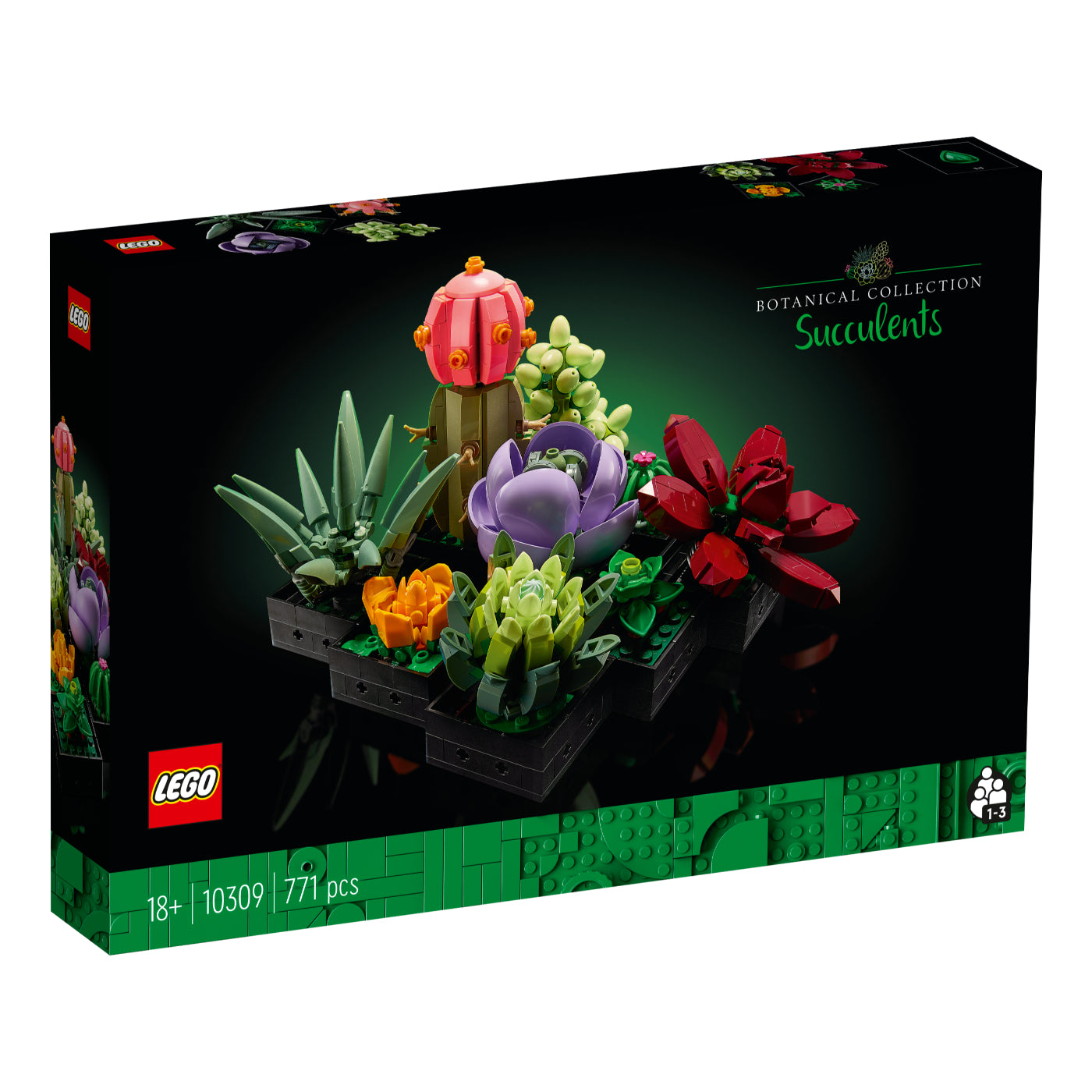Exhibición de suculentas LEGO Colección Botánica con 9 plantas decorativas para adultos